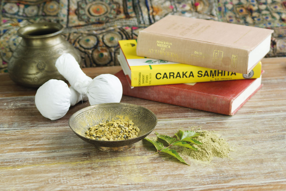 Pulsdiagnose nadi-pariksha wird im Unterricht der Europäischen Akademie für Ayurveda demonstriert